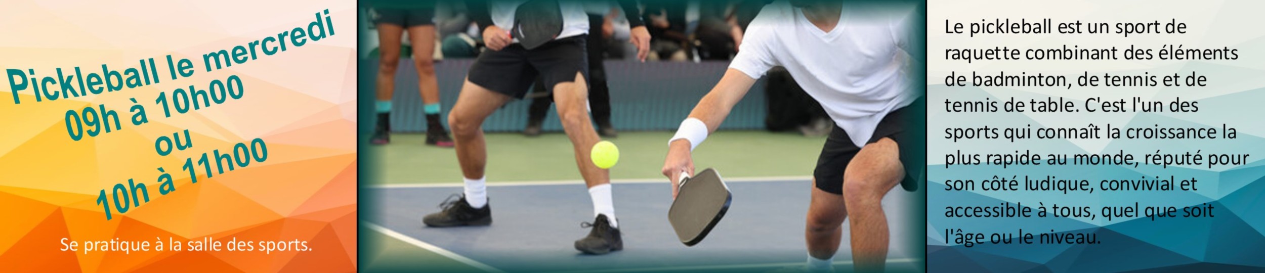 PickLeBall.png